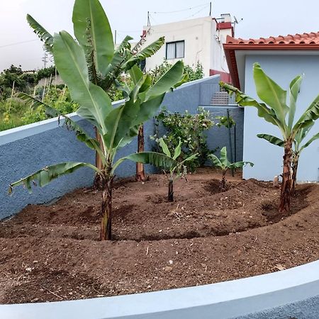 Calheta Paradise Holiday Home Arco da Calheta  Buitenkant foto