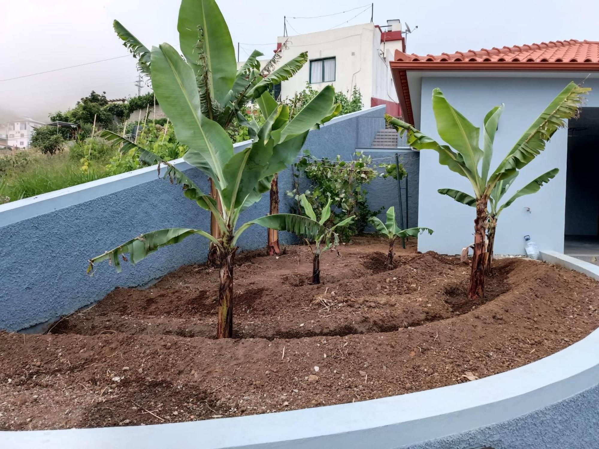 Calheta Paradise Holiday Home Arco da Calheta  Buitenkant foto